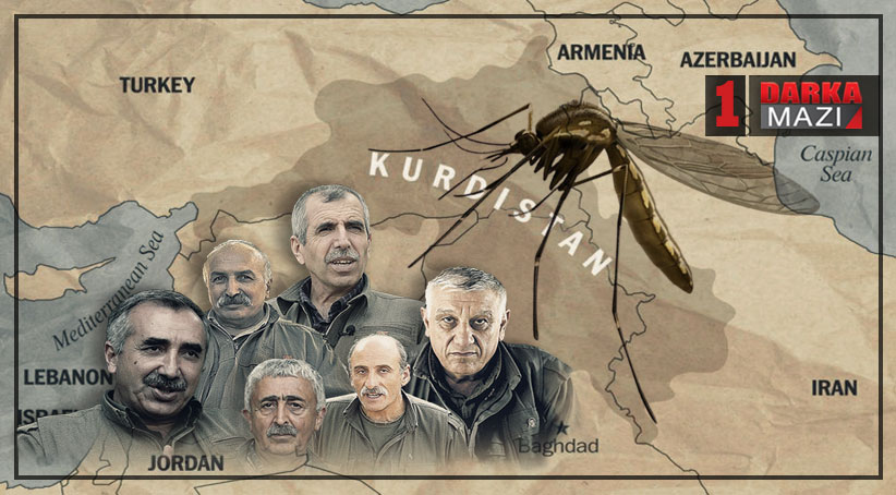 رؤية الـ PKK لباقي أجزاء كوردستان كرؤية الطفيلي للمضيف