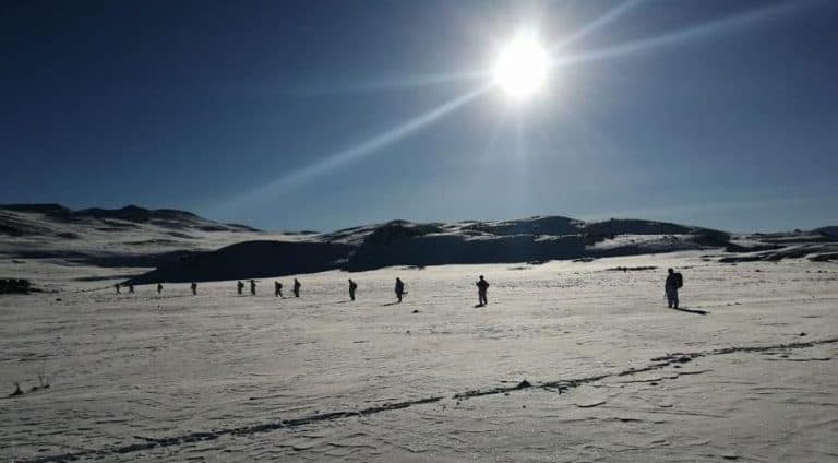 شمال كوردستان.. نشر 1620 من عساكر الأتراك في ميردين وموشي
