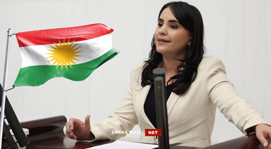 بسبب رفعها علم كوردستان... حزب المساواة وديمقراطية الشعوب (DEM Partî) يبدأ تحقيقات مع برلمانية في تكتّله...