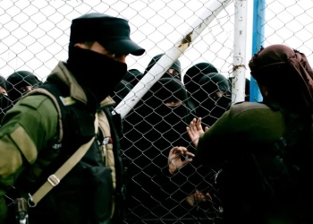 فرار بعض أفراد وعائلات داعش من مخيم الهول!