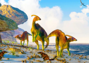 "اجداد انسان معاصر دایناسورها بوده‌اند"