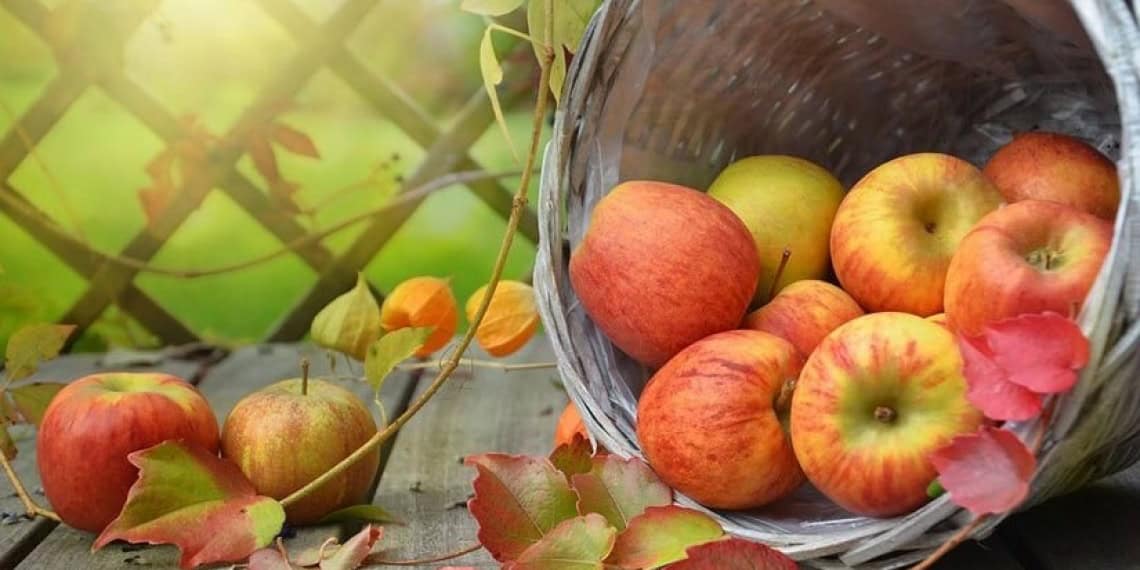 سێڤان بخوه‌ وێ ژ نه‌خوه‌شی و دختۆران دوور بی