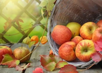 سێڤان بخوه‌ وێ ژ نه‌خوه‌شی و دختۆران دوور بی