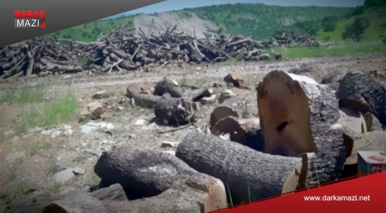 ئەنفالکرنا داران ل باکورێ کوردستانێ