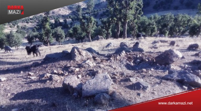 ب سهدهما پهكهكێ بالهفران گوندهكێ برادۆستی بۆردۆمان كر