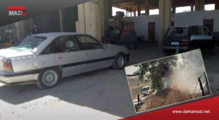 مۆشهكهكه تركیێ ب تاخهكێ قامشلۆیێ كهت