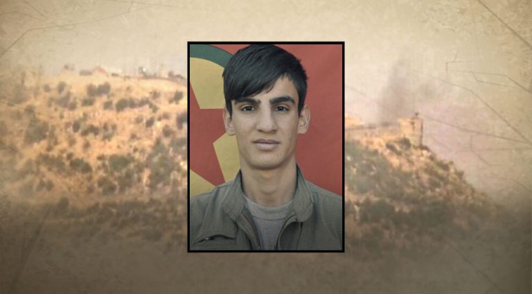 په‌كه‌كه‌ ل سه‌ر بكوشتن دانا سنێله‌یێن كورد به‌رده‌وامه‌