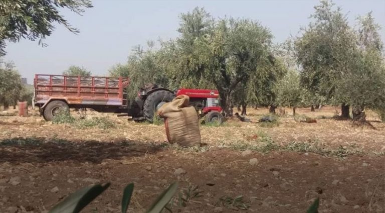 عه‌فرین.. چەکدارێن سەر ب ترکیێ 2 برا رەڤاندن