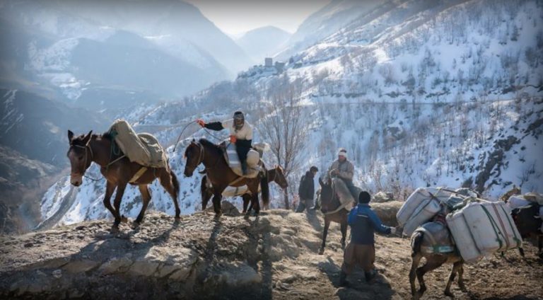 سپایێ پاسداران گوللـه بهردانێ و كوشت