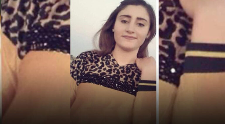 چەکدارێن پەیەدێ کەچەکا 17 سالی ل گوندەوارێ دێرکێ رەڤاند