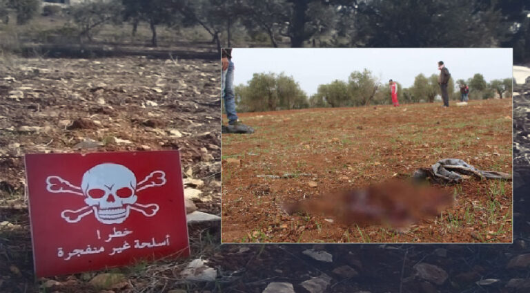 د تەقینا مینهكێ دا 2 زارۆک شەھید بوون