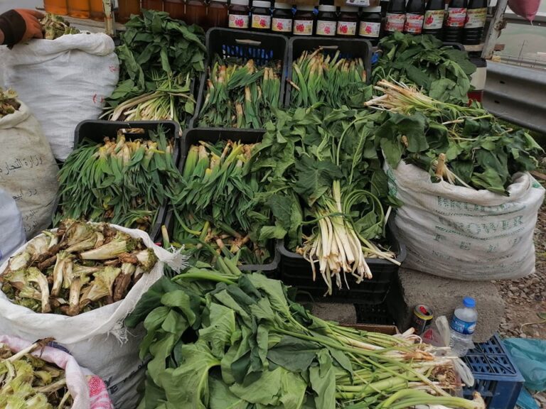 ل باشوورێ کوردستانێ تەڤی کریزا ئابووری کریزا گیایێن بهاری ژی پەیدا بوویە