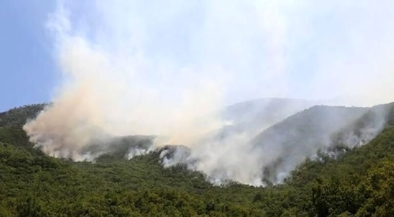 رووبهرێن بهرفرههـ یێن دارستانێن دێرسمێ شهوتین