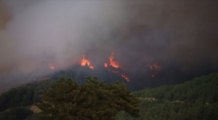 ئۆپهراسیۆنێن لهشكری خوهزایا ئامهد و خارپێتێ وێران كرییه