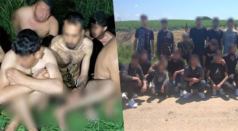 یۆنانێ پەنابەرێن کورد، ئیراقی و سووری تازی ڤەگەراندن ترکیێ