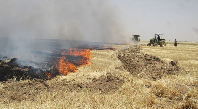 30 هێكتار زه‌ڤیێن گه‌نم ل مه‌هابادێ شه‌وتین