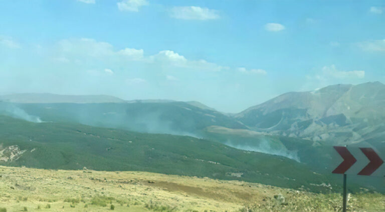 ئاگرێ دارستانێن ل مووشێ بەردەوامە