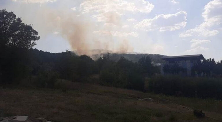 دەما دو رۆژانە ئاگرێ دارستانەکا لجێ نەهاتیە کۆنترۆلکرن