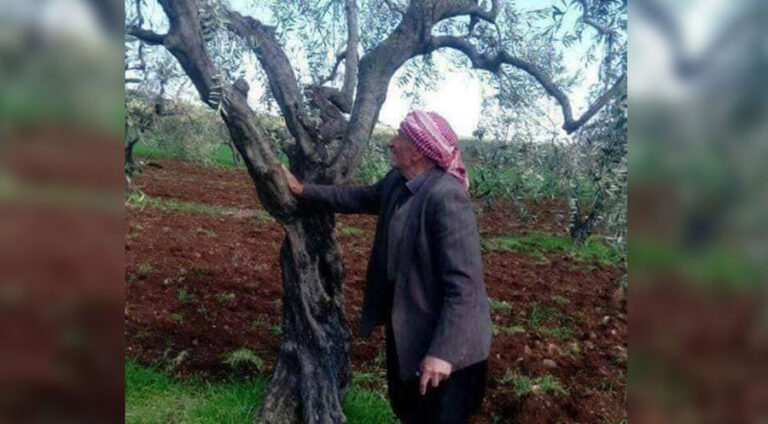 160 مالباتێن کورد ژ شەھبایێ ڤەگەریانە عەفرینێ