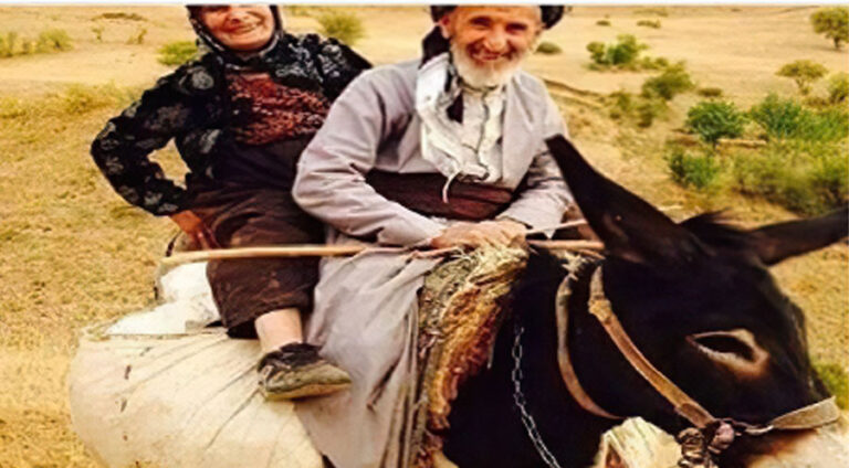 مامێ چیرۆکفرۆش
