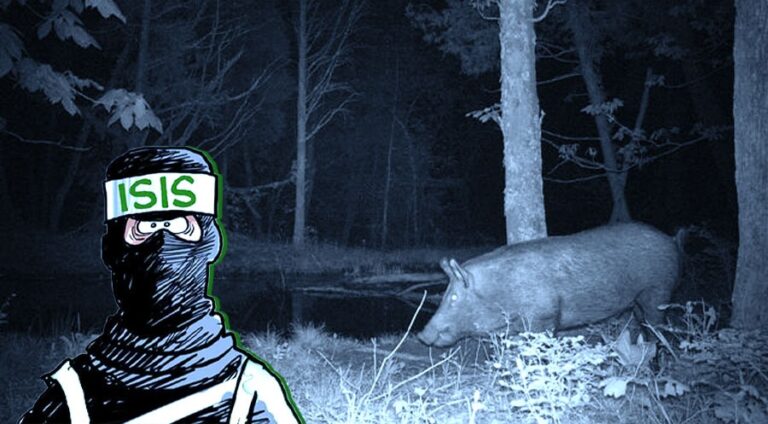 تەلها کو ل بەر بەرازان ڤەدای داعشیەک کەتێ