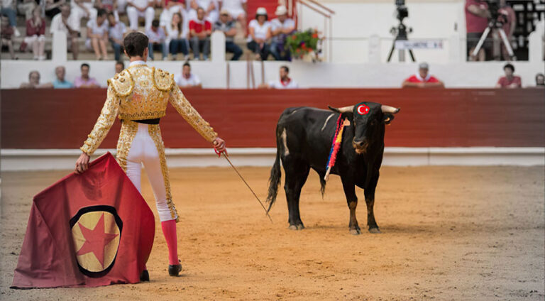 pkk-kck-rojava-turkey-kurdistan-kurd (2)