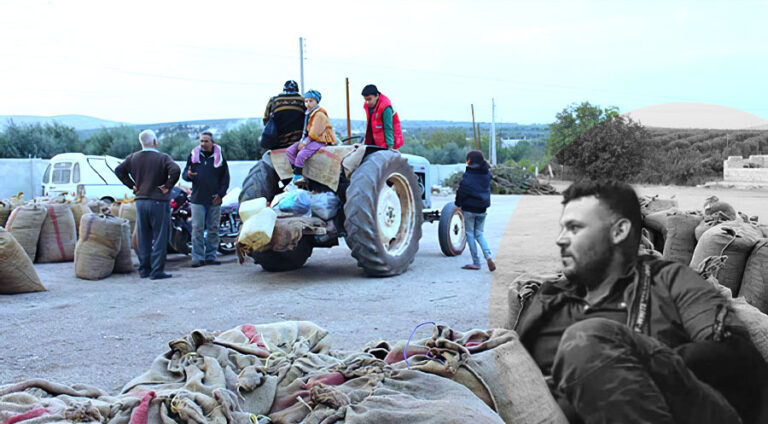 Efrîn-zeytûn -talan (2)