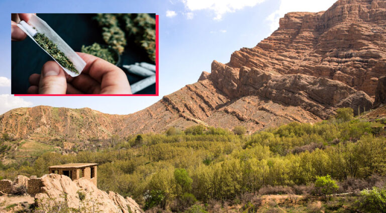 سپایێ پاسداران «ماریجوانایێ» ل رۆژهلاتا كوردستانێ دچینیت