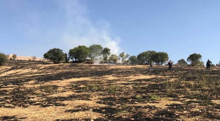 ئاگر بەردا زەڤیا خوە لێ ئەو ب خوە شەوتی