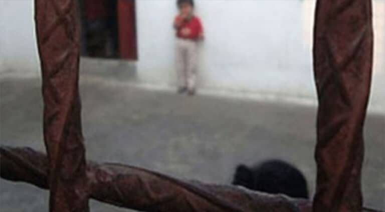 ل ترکیا ب سەدان زارۆک و پتک لگەل دایکێن خوە د گرتیگەھان دا نە