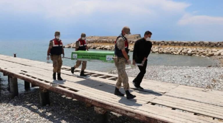 د گۆلا وانێ دا جەنازەیێ جوانێ بەری 19 رۆژان وەندا بووی ھات دیتن