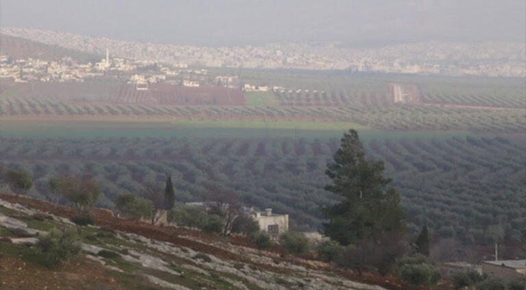 عفرین-efrin-raco-revandin