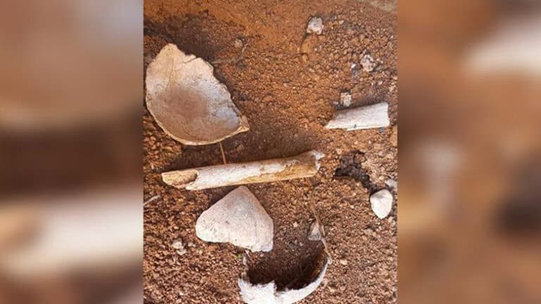 گۆرەکێ دن یێ ب کۆم ل شنگالێ ھاتە دیتن