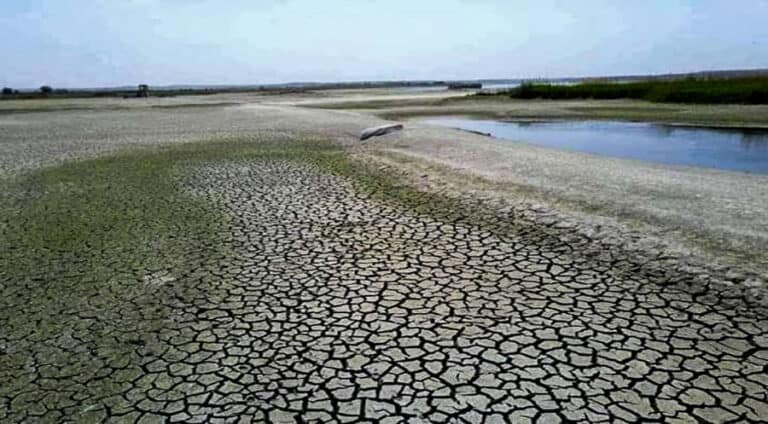 بەغدا: ترکیا چەمێ فەراتێ زوها دکە