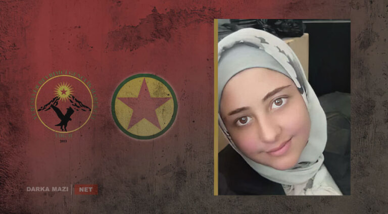 Çeteyên PKKê -net