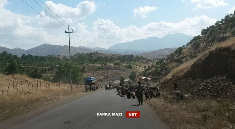 ل سیدەکانێ مایینەکا پەکەکێ ب شڤانەکێ 16 سالی دە تەقیا