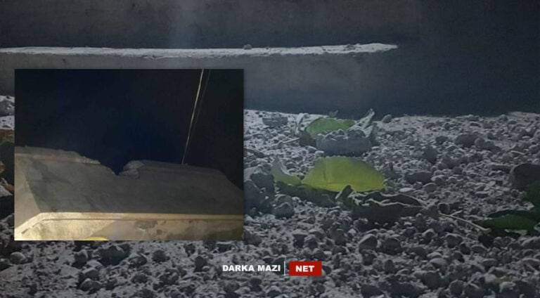 گوهه‌رزێ-guherze