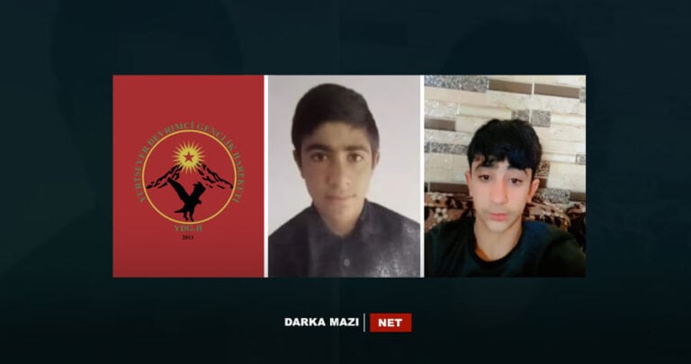 چەتەیێن ب ناڤێ جوانێن شۆرەشگەر دو زارۆکێن دن رەڤاندن