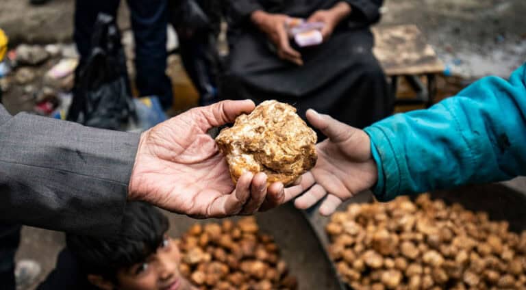 11 کەسێن دۆمەلان کۆمدکرن ژیانا خوە ژ دەست دان