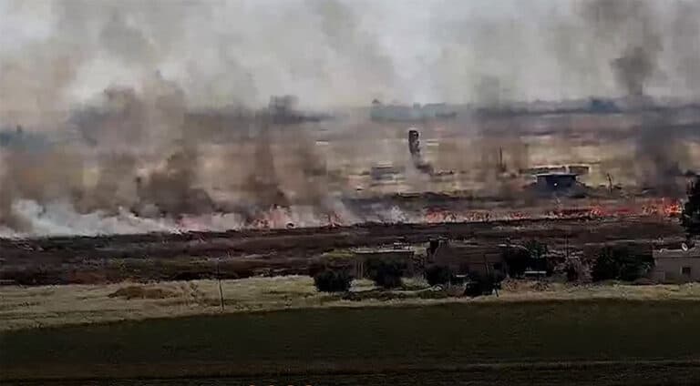 ب سەدەما ئێریشا ترکیێ ل منبج و کۆبانێ بەرھەمێن چاندنیێ شەوتین