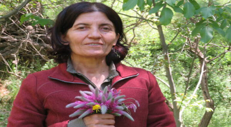 ترکیەیێ کوشتنا بەرپرسەکا دن یا پەکەکێ ل سلێمانیێ ئەشکەرە کر