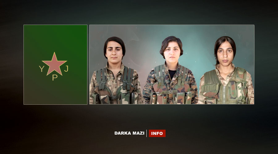 ypj-info