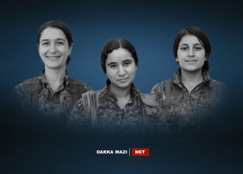 YPJ-3-Info
