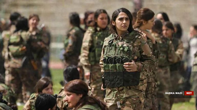 YPJ-2026-Net
