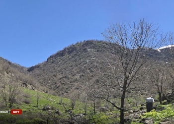 Derkar-info