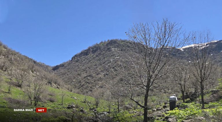 Derkar-info