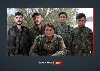 HSD-YPG