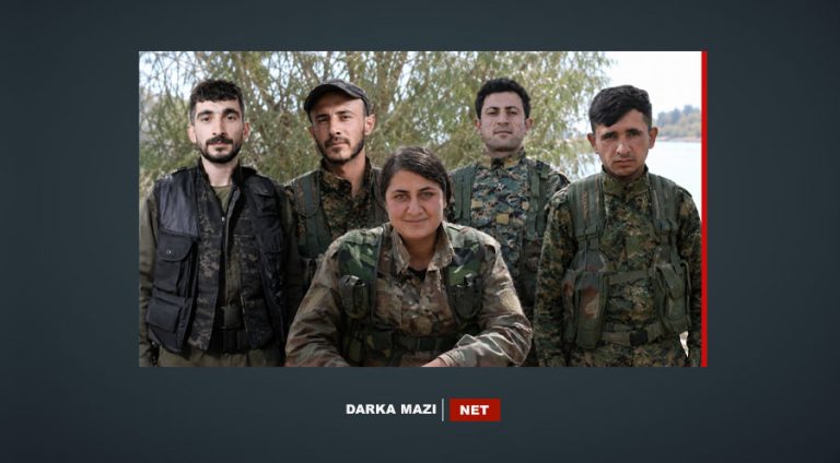 HSD-YPG