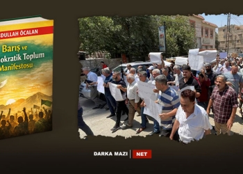 Li Raoaja sîstema darayî-net