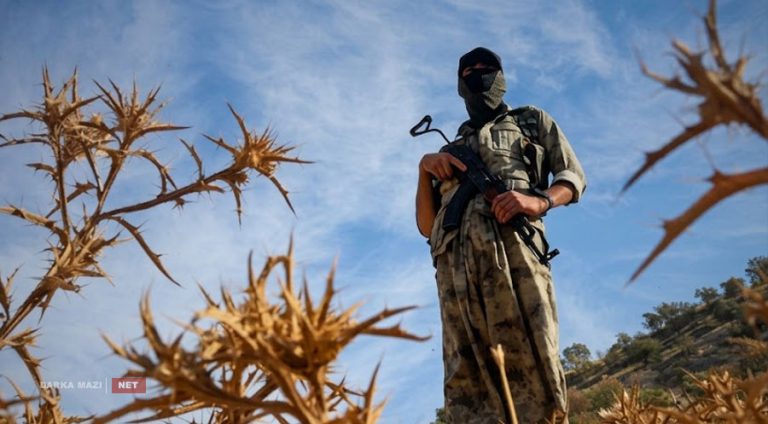 PKK-Turkey-net